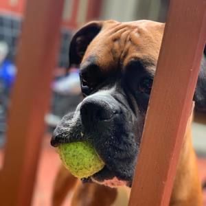 Meet your Posher, Lance